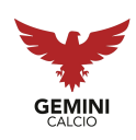 gemini-calcio